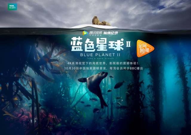 中文亚洲无线码剧照3